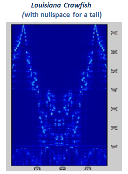 Louisiana Crawfish with NullSpace Tail research figure
